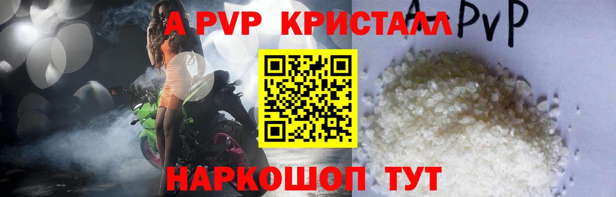 APVP СК КРИС Элиста