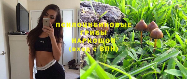 прущая мука Абдулино