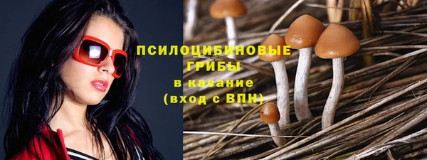 спайс Алексин