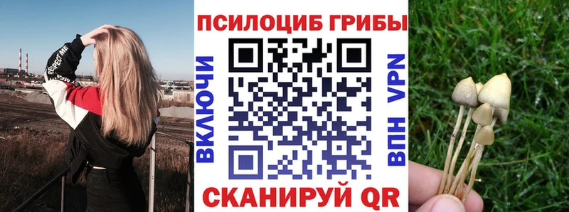 Галлюциногенные грибы GOLDEN TEACHER закладки Элиста
