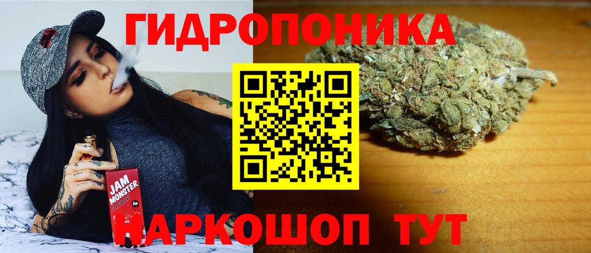 Марихуана Bruce Banner Элиста